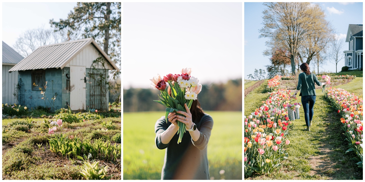 floral farm color palette inspiration images by social squares